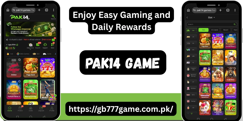 PAK14 Game